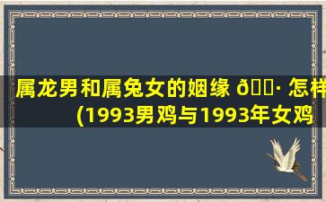 属龙男和属兔女的姻缘 🌷 怎样(1993男鸡与1993年女鸡合婚吗)